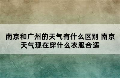 南京和广州的天气有什么区别 南京天气现在穿什么衣服合适